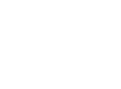 Laura Arango Jaramillo - Diseño de branding e identidad visual - Valiente Digital Manizales